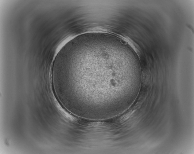 X0000096941387200802151205