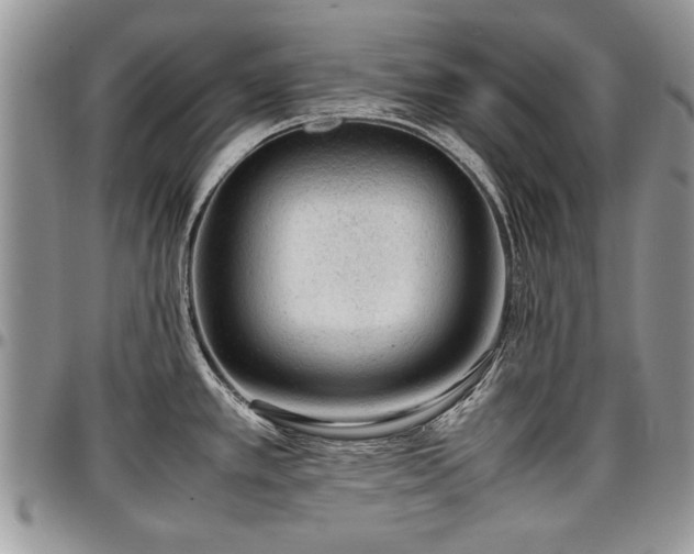 X0000096941389200802151205