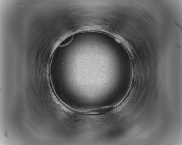 X0000096941390200802151205