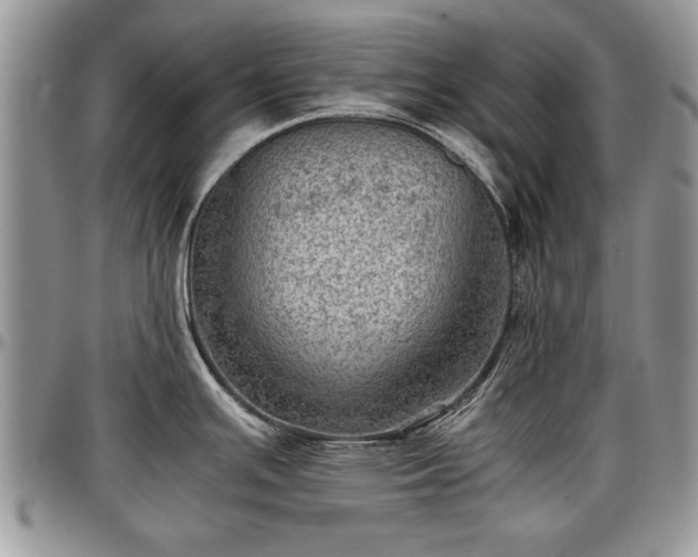X0000096941391200802151205
