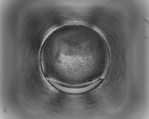 X0000096941392200802151205