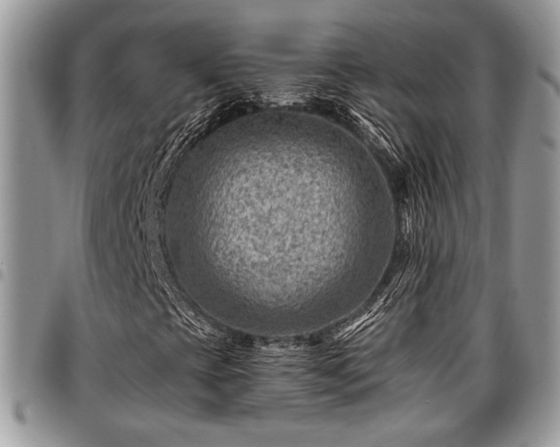 X0000096941393200802151204