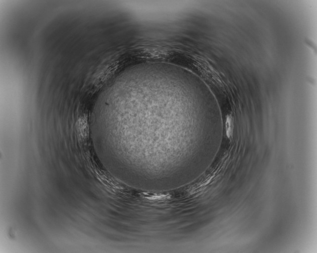 X0000096941395200802151204