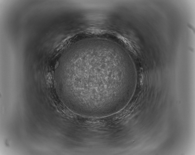 X0000096941397200802151204