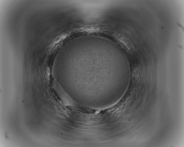 X0000096941398200802151204