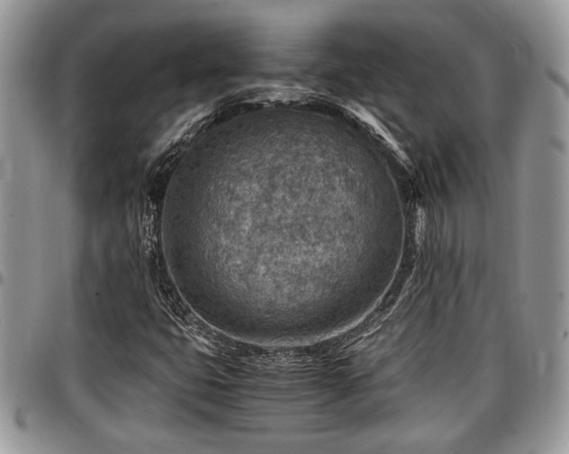 X0000096941399200802151204
