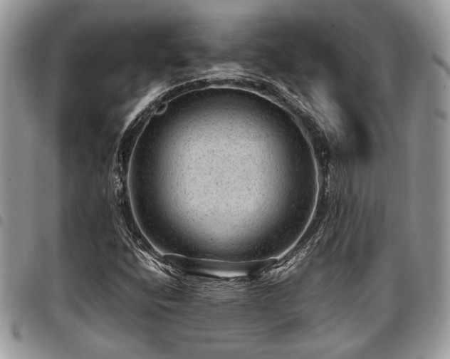 X0000096941400200802151204