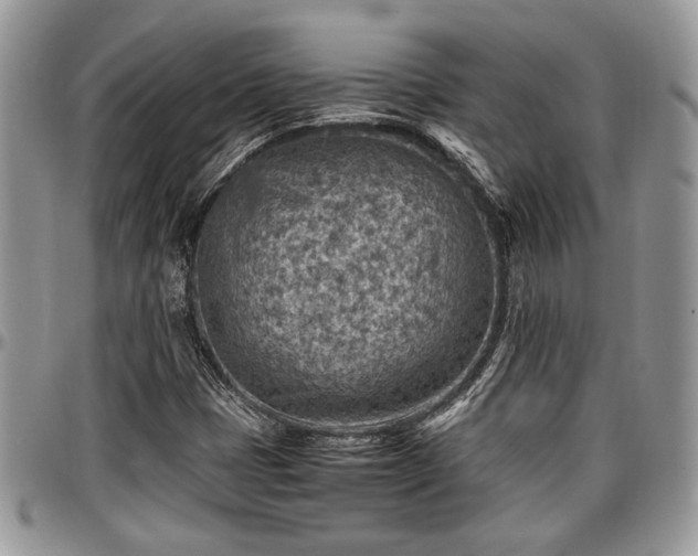 X0000096941401200802151204