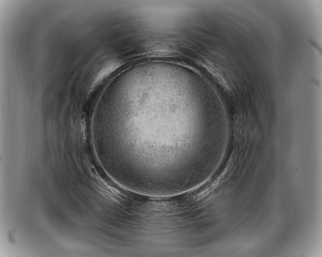 X0000096941402200802151204