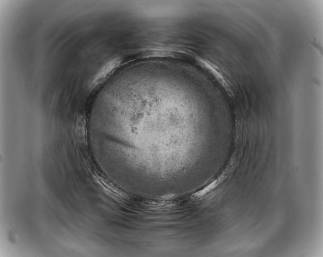 X0000096941403200802151204