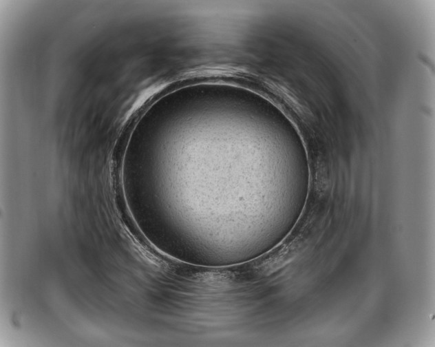 X0000096941404200802151204