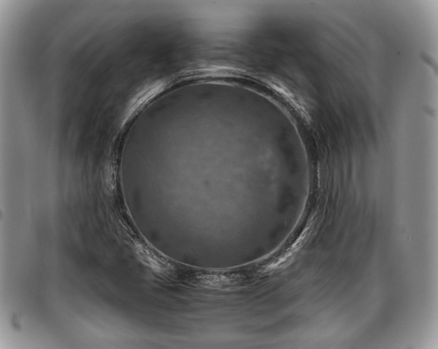 X0000096941405200802151204