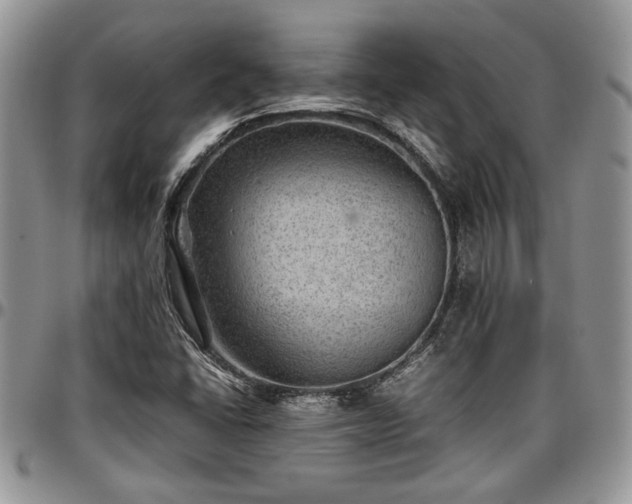 X0000096941406200802151204