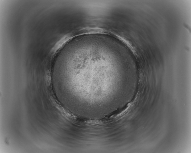 X0000096941407200802151204