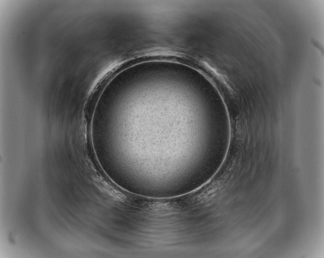 X0000096941408200802151204