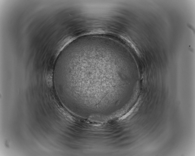 X0000096941409200802151204