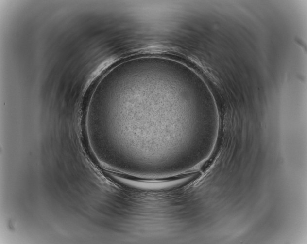 X0000096941410200802151204