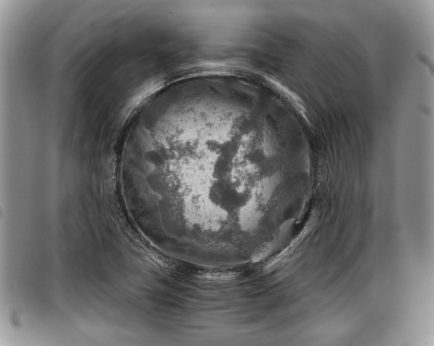 X0000096941411200802151204