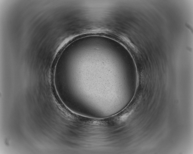 X0000096941412200802151204