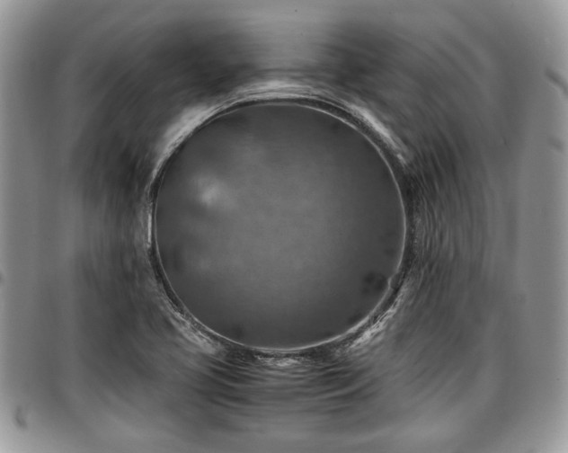 X0000096941413200802151204
