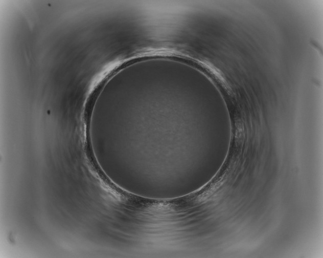 X0000096941414200802151204