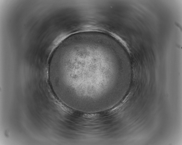X0000096941415200802151204