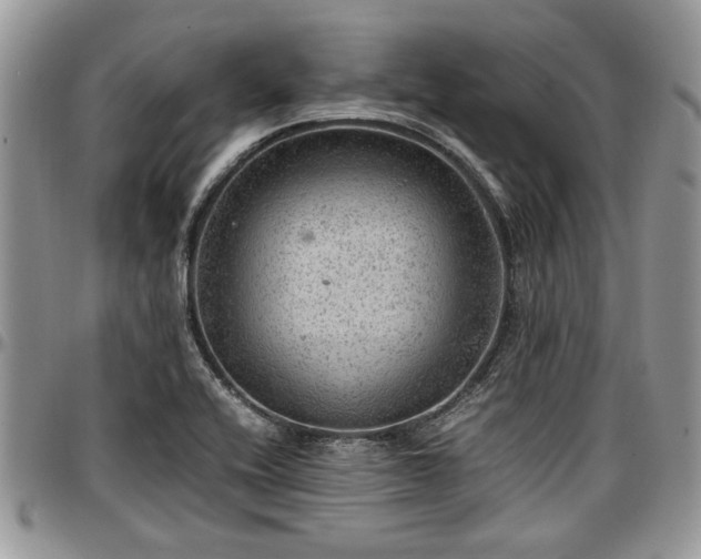 X0000096941416200802151204