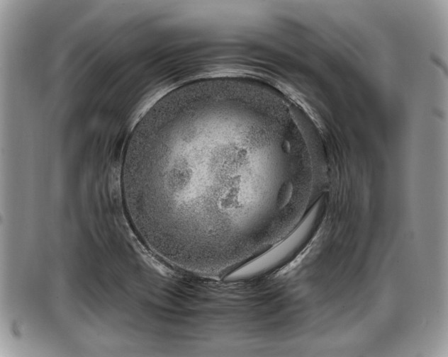 X0000096941417200802151204