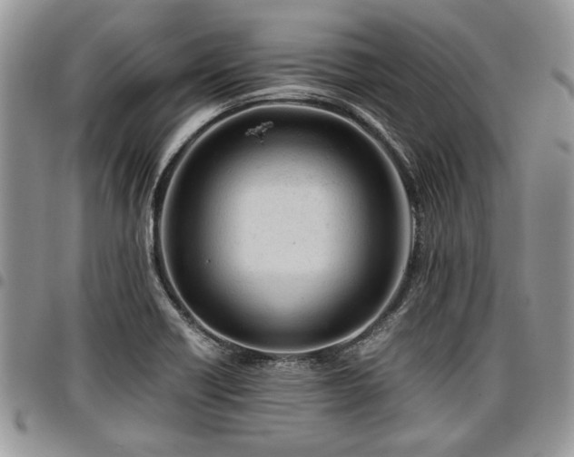 X0000096941418200802151204