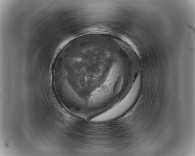 X0000096941419200802151204