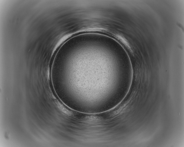 X0000096941420200802151204