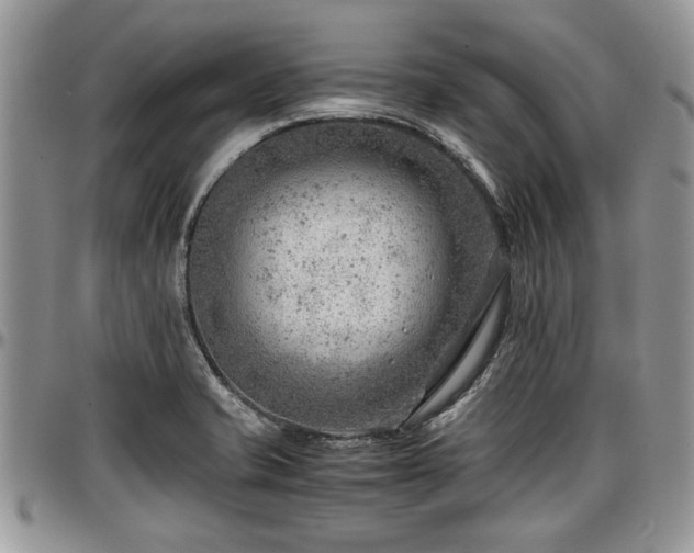 X0000096941421200802151204