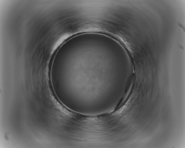X0000096941422200802151204