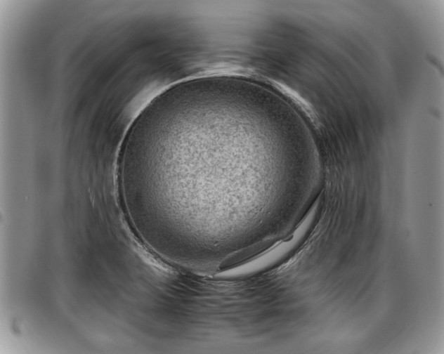 X0000096941423200802151204