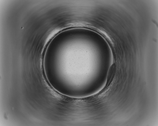 X0000096941424200802151204