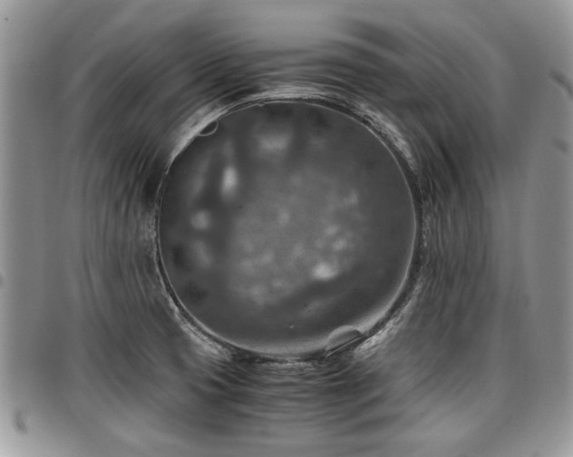 X0000096941425200802151204