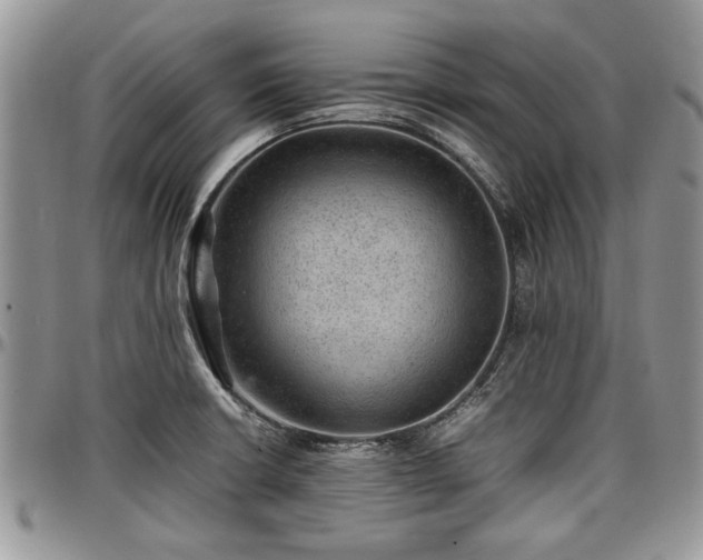 X0000096941426200802151204
