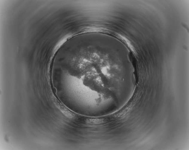 X0000096941427200802151204