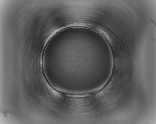 X0000096941428200802151204