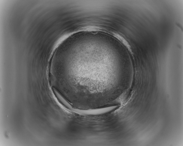 X0000096941429200802151204