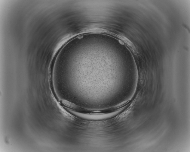 X0000096941430200802151204