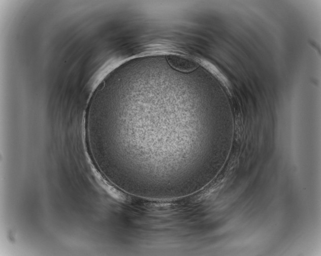 X0000096941431200802151204