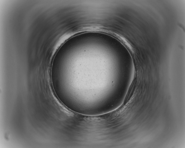 X0000096941432200802151204