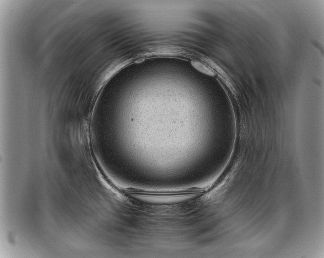 X0000096941433200802151204