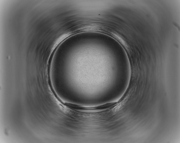 X0000096941434200802151204