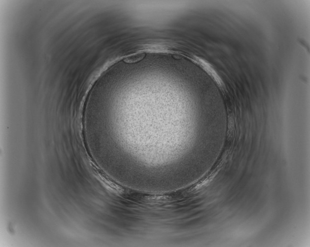 X0000096941435200802151204