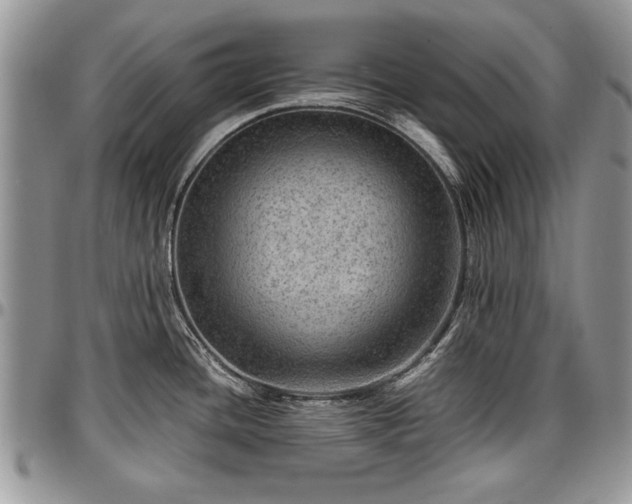 X0000096941436200802151205