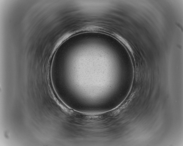 X0000096941437200802151205