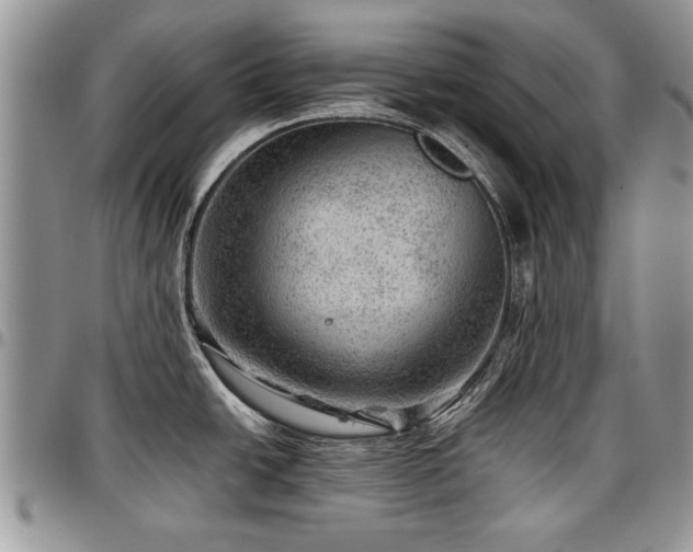 X0000096941438200802151205