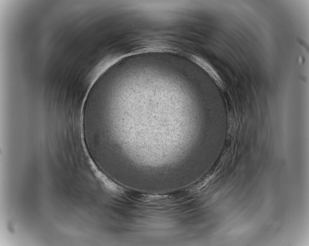 X0000096941439200802151205